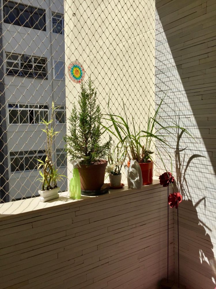 Apartamento - Venda - Santa Cecília - São Paulo - SP